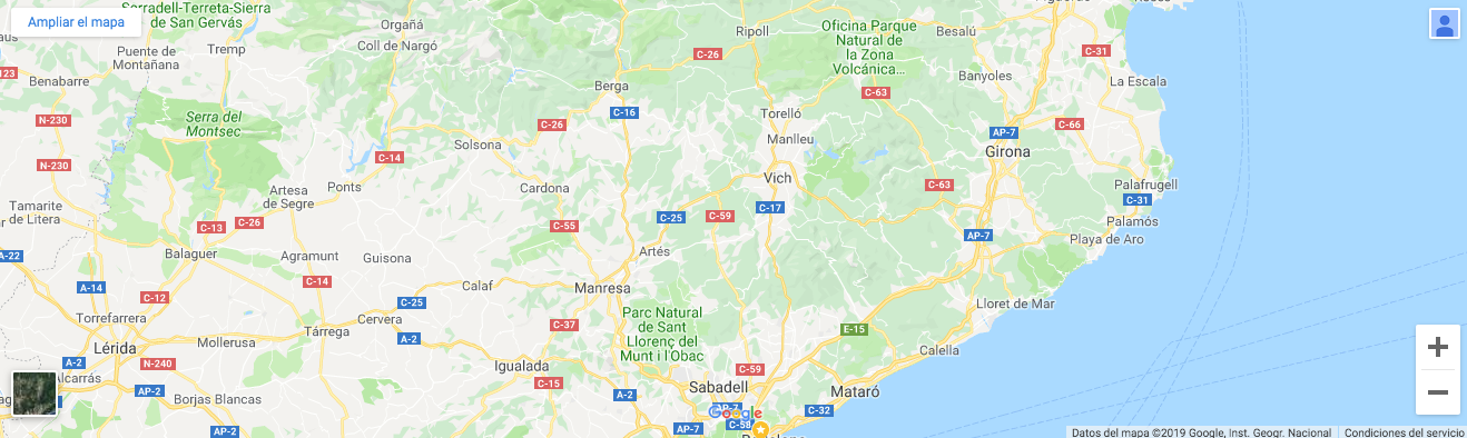 Google Maps